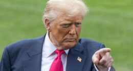 Love him or hate him âthere's never been a president like Donald Trump